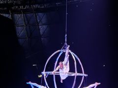 -广州长隆国际大马戏