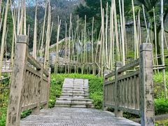 -关岳庙