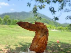-风云岭森林公园