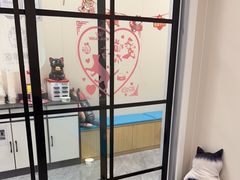 -美联众合爱康动物医院•复杂内科•肿瘤科•牙科•腔镜诊疗中心