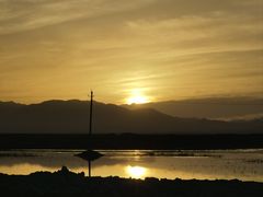 -撒拉人家.酸菜牦牛肉火锅