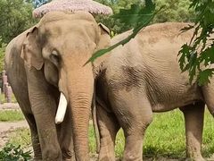 -沈阳森林动物园