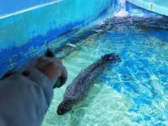 -太平洋海底世界