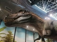 -湖南省地质博物馆