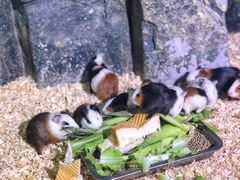 -正佳雨林生态植物园