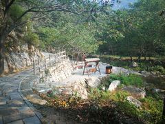 -大岭沟猕猴桃谷风景区