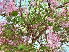 -唐山抗震纪念碑广场