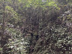 -青城山