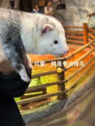 -Zoolung Zoolung动物主题公园(海信广场店)