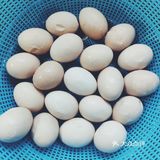 宅家太无聊自制『暖心茶叶蛋🍵』