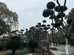 -聂荣臻元帅陈列馆