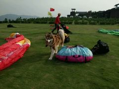 android_upload_pic-伏龙山滑翔伞基地