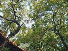 -北京国子监胡同