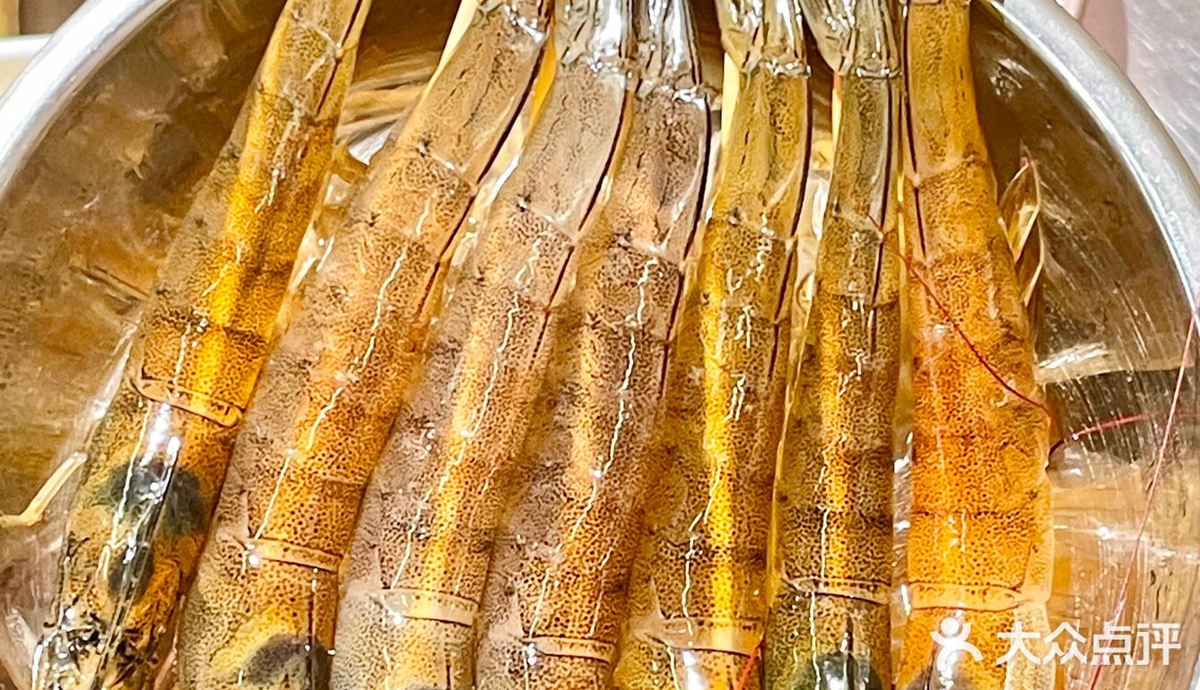 火爆温州的海鲜火锅🦞温州本地人推介的餐厅