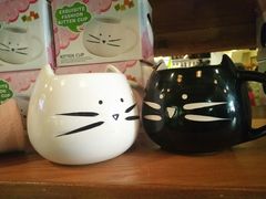 -猫咪博物馆(顶澳仔猫街店)