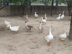 -森林公园(尖草坪区)