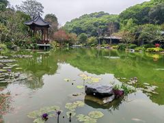 -云溪植物园