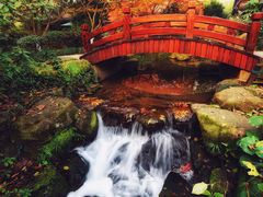 -中国茶叶博物馆(双峰馆区)
