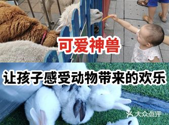 可爱神兽让孩子感受动物带来的欢乐