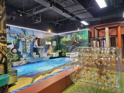 -卡通尼·Safari非洲探索乐园·生日会(金桥国际商业广场店)