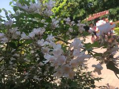 -洛阳龙门站