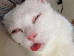 -品腐记·豆腐王朝(老门东总店)