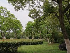 -天鹅湖体育公园