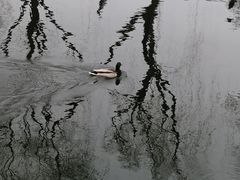 -什刹海