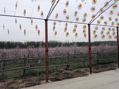 -河北村民俗体验园