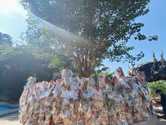 -西双版纳勐泐文化旅游区