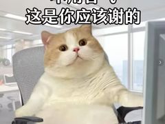 -晓疆山·大美新疆菜(白玉兰广场店)