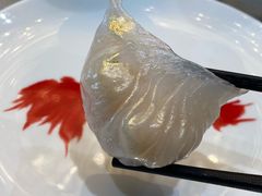 -東海薈。拉斐特(青衣城店)