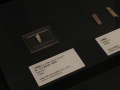 -北京周口店北京人遗址博物馆