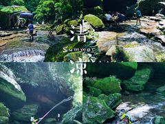 -芦沟竹海