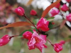 -白鹭湾湿地公园