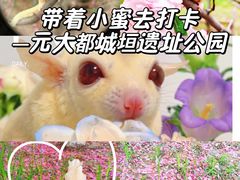 -元大都城垣遗址公园