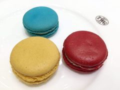 -TWG Tea(台北101购物中心沙龙及精品门市)