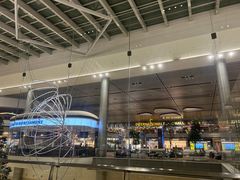 -樟宜机场免税店