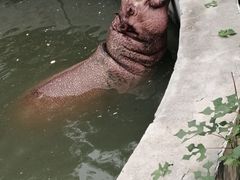 -保定市动物园
