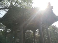 -宜春禅都文化博览园