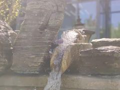 -中家鑫园温泉酒店鑫悦汤泉