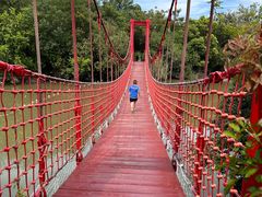 -上海吴淞炮台湾国家湿地公园