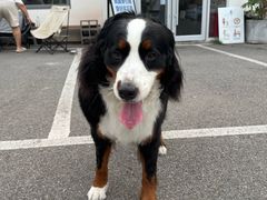 -小意思咖啡店(草桥店)