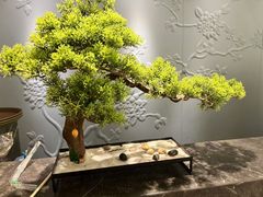 -华夏良子·足道SPA艾灸(铁道大厦店)