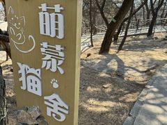 -沂蒙山旅游区龟蒙景区
