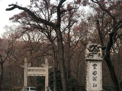 -灵谷景区