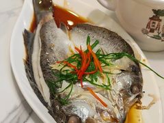 清蒸海鲈鱼-外婆小聚茶餐厅·生日·团建(市民中心店)
