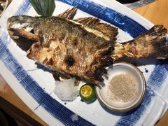 烤鲷鱼-綱元·海鲜豆捞(明州里店)