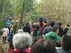 -成都大熊猫繁育研究基地