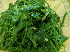 凉拌蔬菜-黄寺蒸汽海鲜(黄寺大街店)